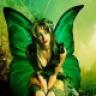 butterflylver
