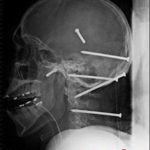 Media 'post-funny-pics-0727' in category 'Funny Pictures'