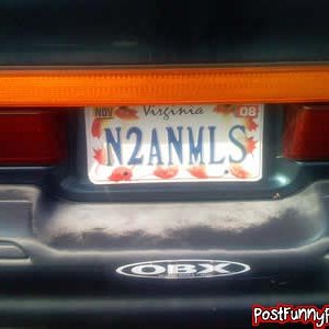 post-funny-pics-0692