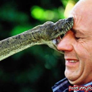 post-funny-pics-0884