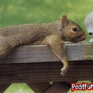 post-funny-pics-0889