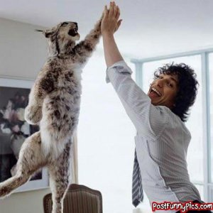 post-funny-pics-0029