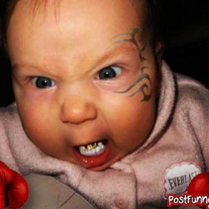 post-funny-pics-0001