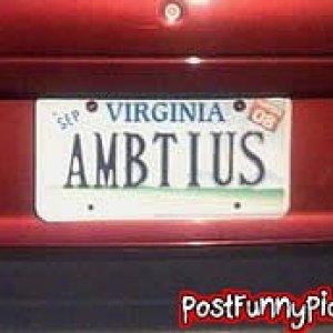 post-funny-pics-0741