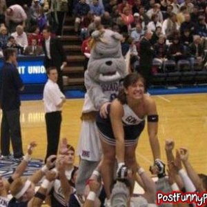 post-funny-pics-0284