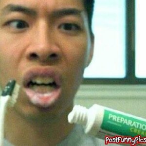 post-funny-pics-0563