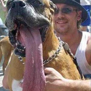 post-funny-pics-0807