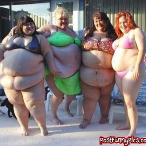 post-funny-pics-0438