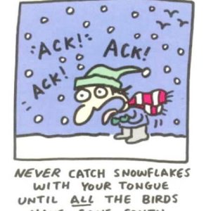 catchsnowflakes