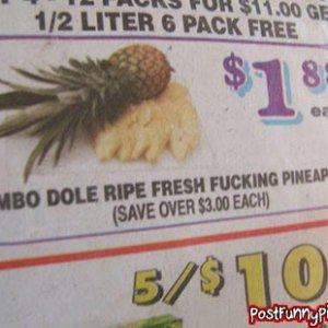 post-funny-pics-0440