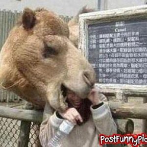 post-funny-pics-0995