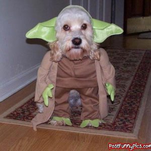 post-funny-pics-0018