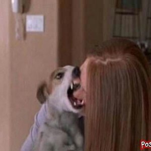 post-funny-pics-0056