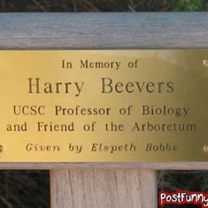 post-funny-pics-0519