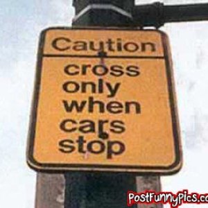 post-funny-pics-0664