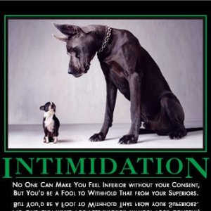 intimidation
