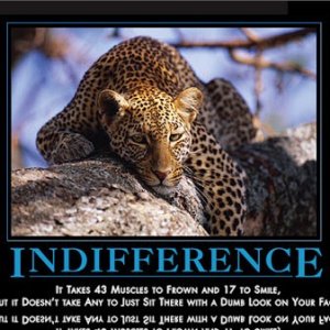 indifference