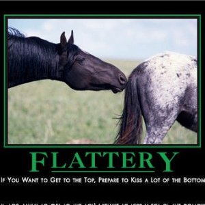 flattery
