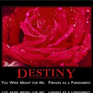 destiny