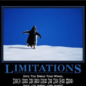limitations