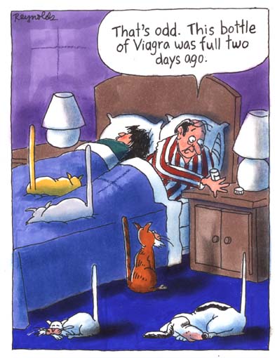 catsonviagra