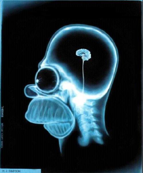 homerscan