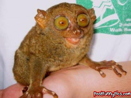 post-funny-pics-0023