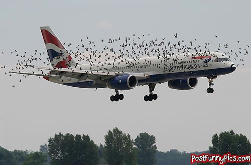 post-funny-pics-0072