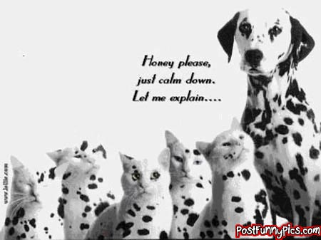 post-funny-pics-0075