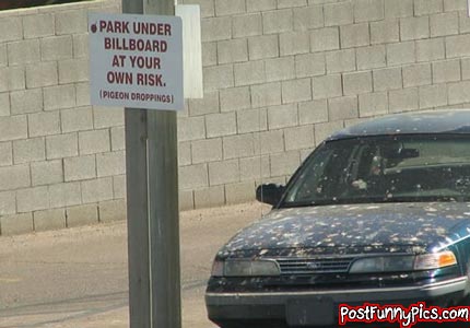 post-funny-pics-0092