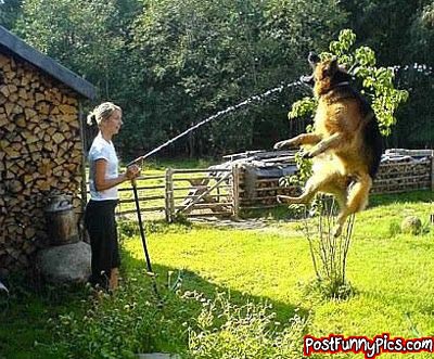 post-funny-pics-0135
