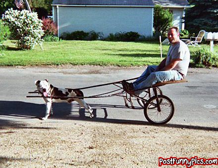 post-funny-pics-0145