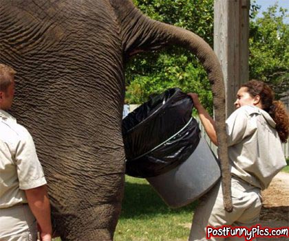 post-funny-pics-0165