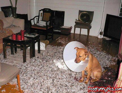 post-funny-pics-0190