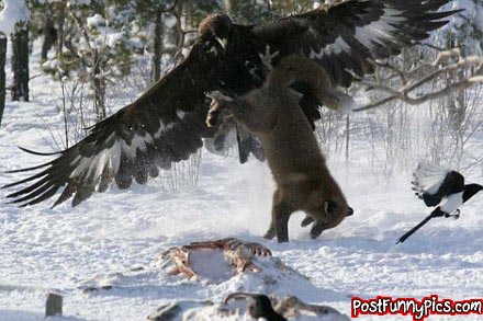 post-funny-pics-0225