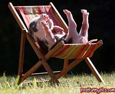 post-funny-pics-0288