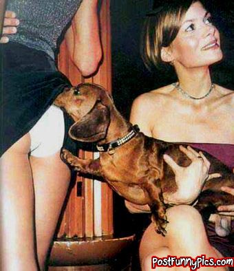 post-funny-pics-0321