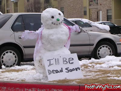 post-funny-pics-0338