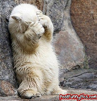post-funny-pics-0360