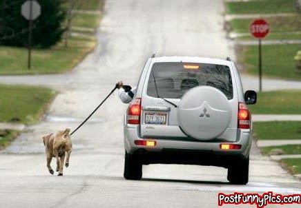 post-funny-pics-0428