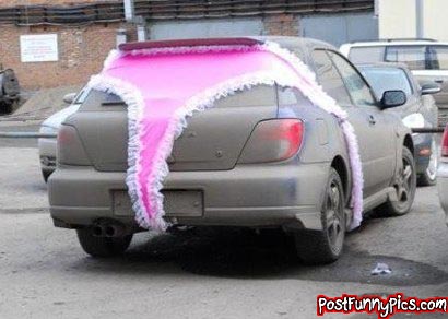 post-funny-pics-0435