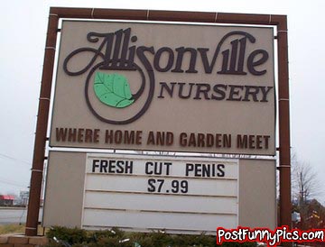 post-funny-pics-0437