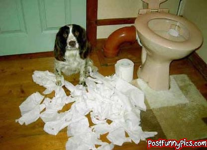 post-funny-pics-0473