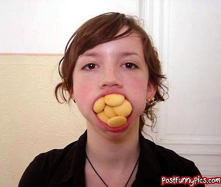 post-funny-pics-0520