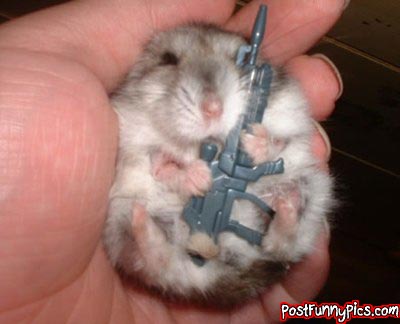 post-funny-pics-0600