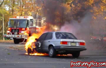 post-funny-pics-0707