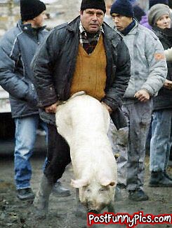 post-funny-pics-0754