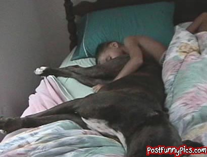 post-funny-pics-0804