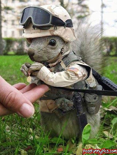 post-funny-pics-0819