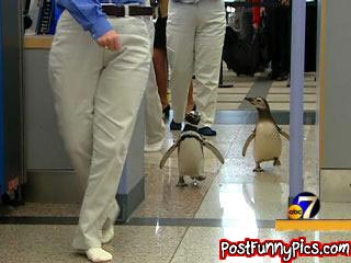 post-funny-pics-0845